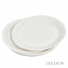 SET DE 20 ASSIETTES EN CARTON D23CM