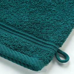 2 GANTS DE TOILETTE 15 X 21 CM VERT EMERAUDE